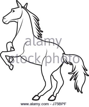 300x359 Horse On Two Legs Stock Vector Art Amp Illustration, Vector Image