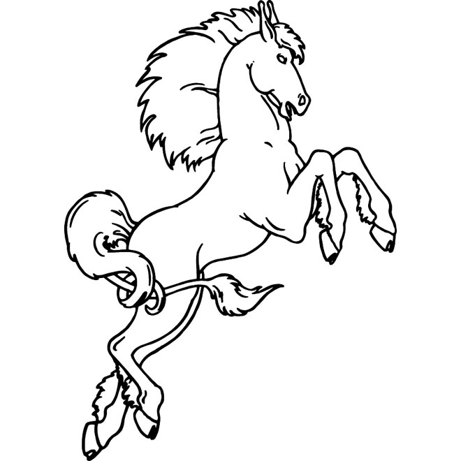 660x660 Horse On Two Legs Vector Clip Art
