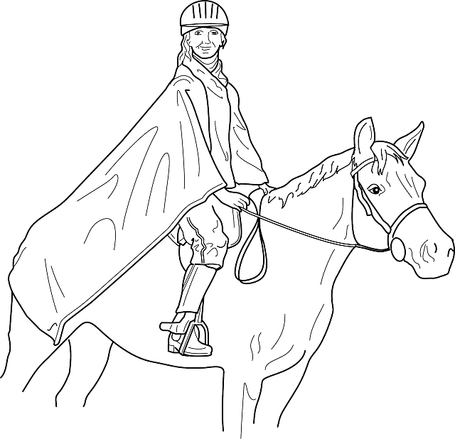 640x618 Outline, Man, Cartoon, Horse, Horses, Draw, Animal