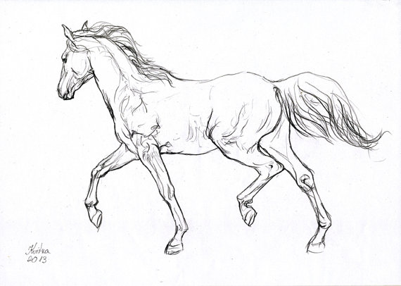 570x406 Gallery Running Horse Sketches,