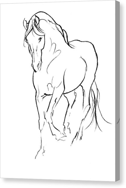 418x622 Horse Pencil Drawing Canvas Prints