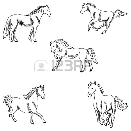 450x450 Horses. A Sketch By Hand. Pencil Drawing. Vector Image Royalty
