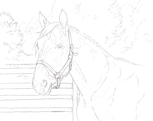 600x473 How To Draw A Horse Using A Grid