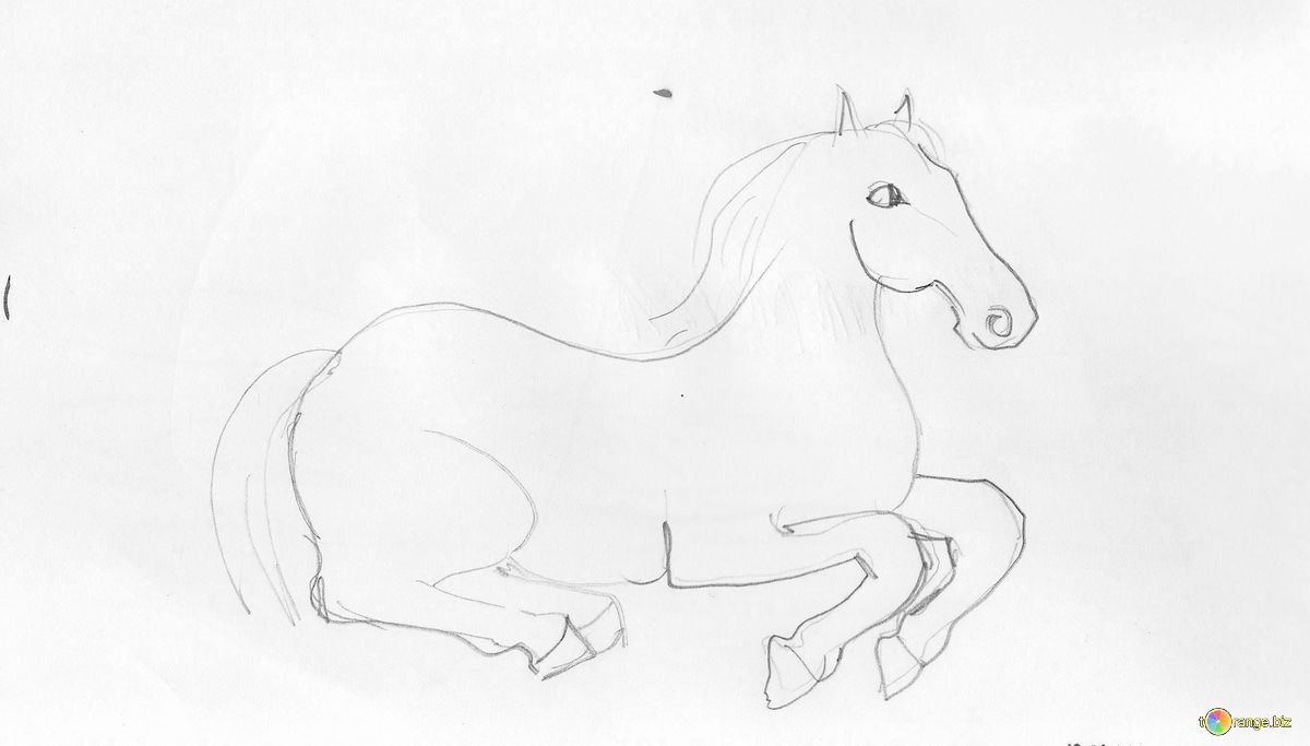 1200x683 Children's Drawing Of A Horse Pencil Sketch Of Horse Horse 18703