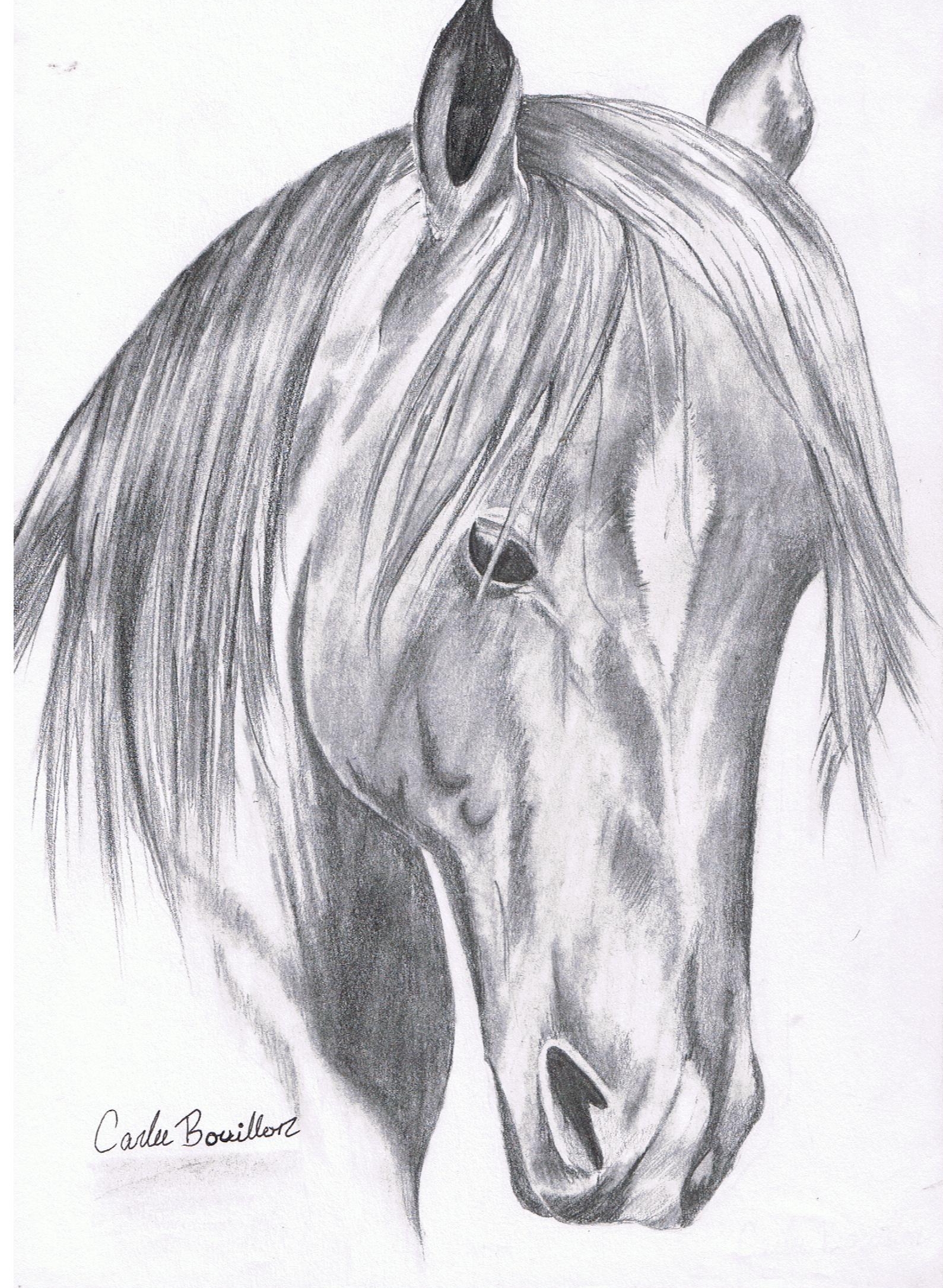 1589x2171 Drawing 50 Horses Before You Call Page 2