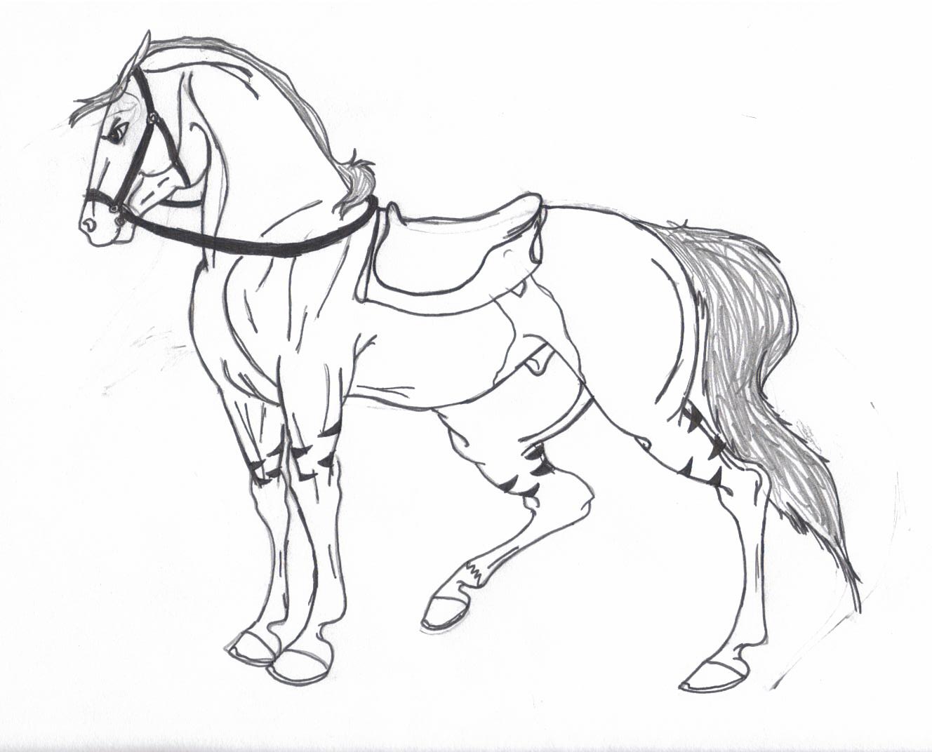 1328x1072 Drawn Horse Anime