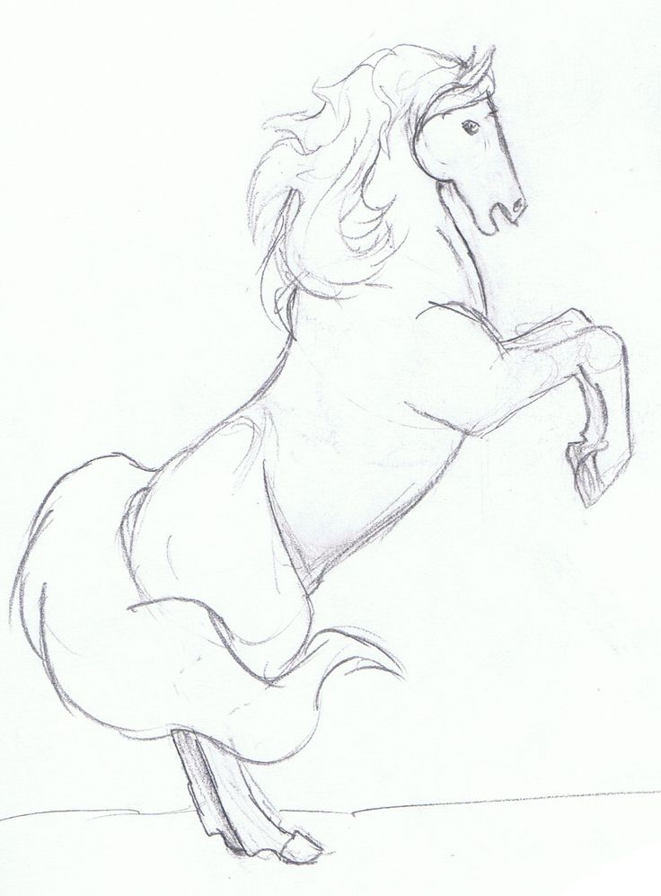736x997 Gallery Horse Easy Drawing Pencil,