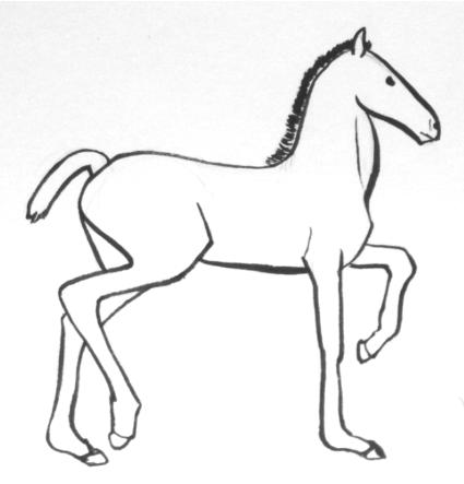 425x443 Can'T Draw Horses Freehand