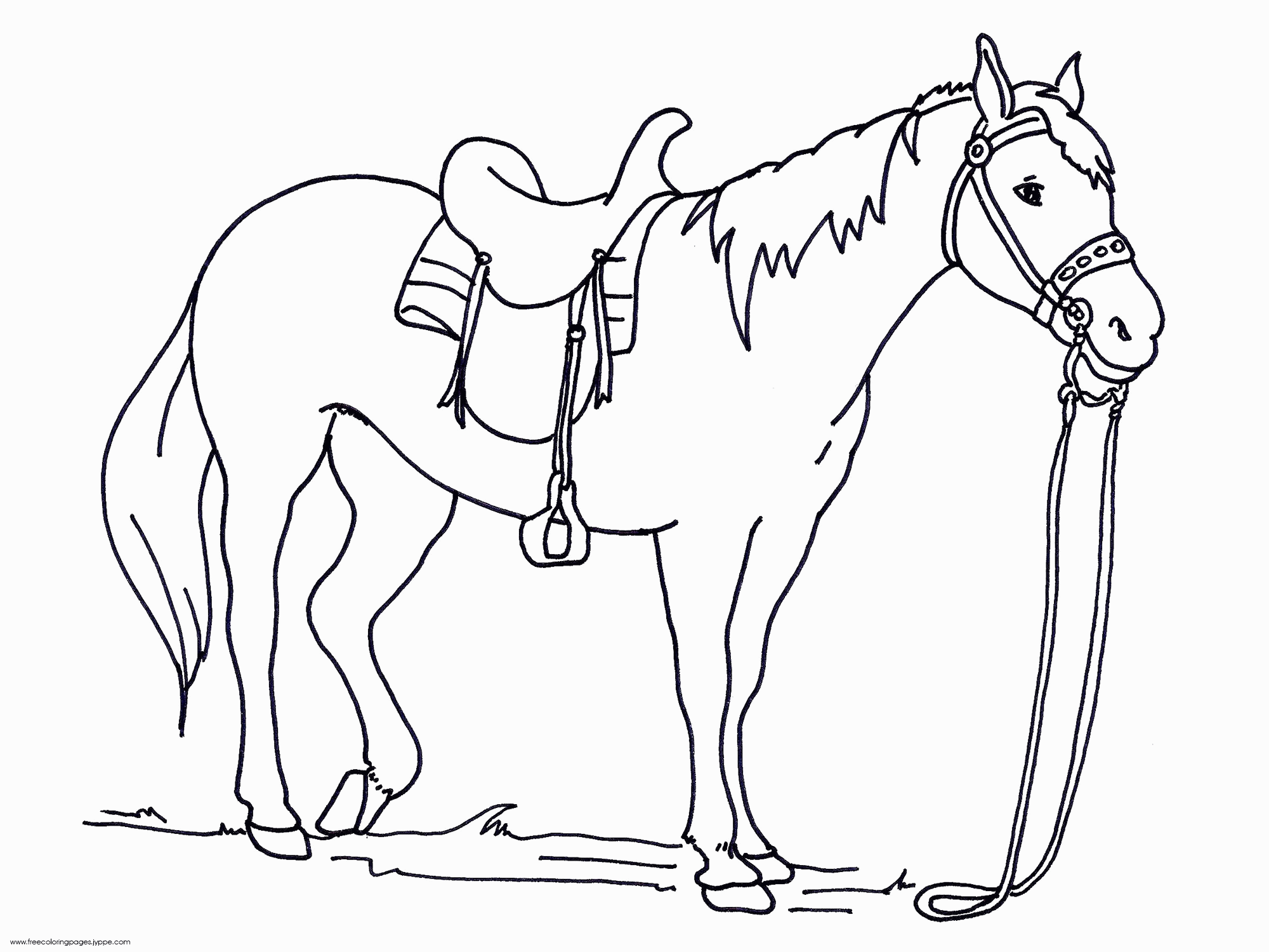 2000x1500 Race Horse Coloring Page Many Interesting Cliparts