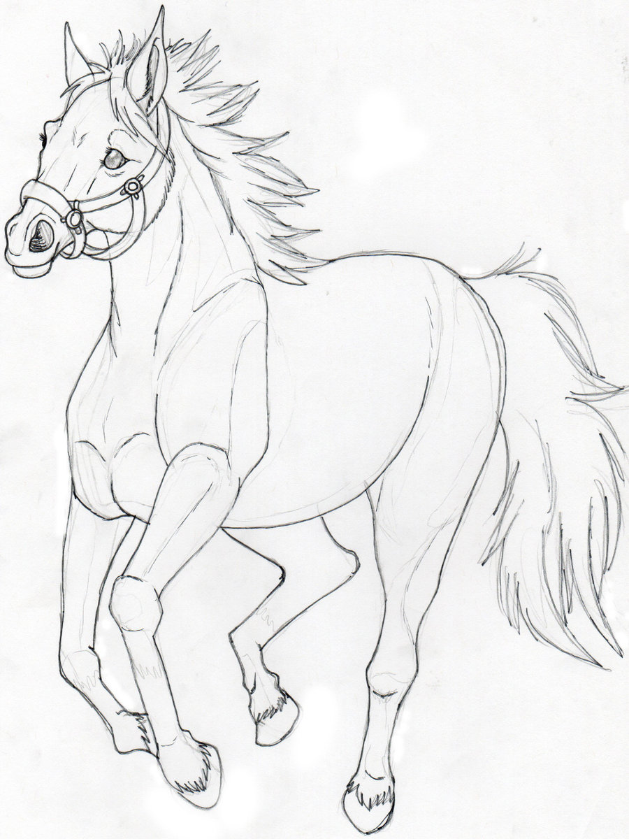 900x1200 A Horse Sketch Not Done By Suenta Deathgod