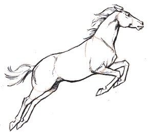 Horse Pictures Drawing