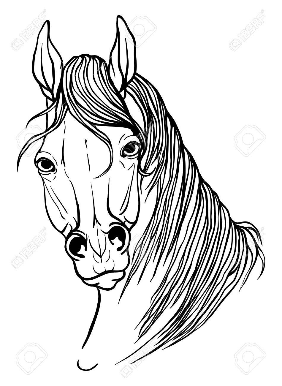 950x1300 Page Coloring Portrait Of A Horse Royalty Free Cliparts, Vectors