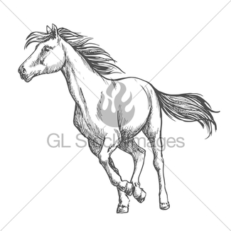 325x325 Running Gallop White Horse Sketch Portrait Gl Stock Images