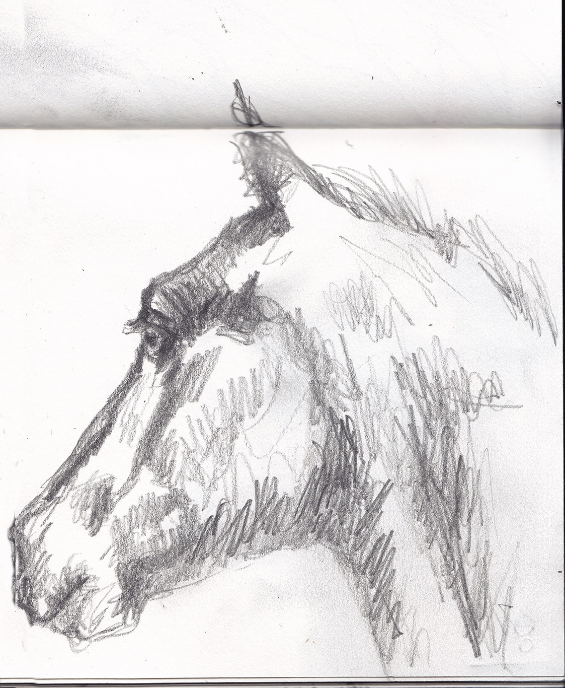1123x1366 Myart Horse Drawn