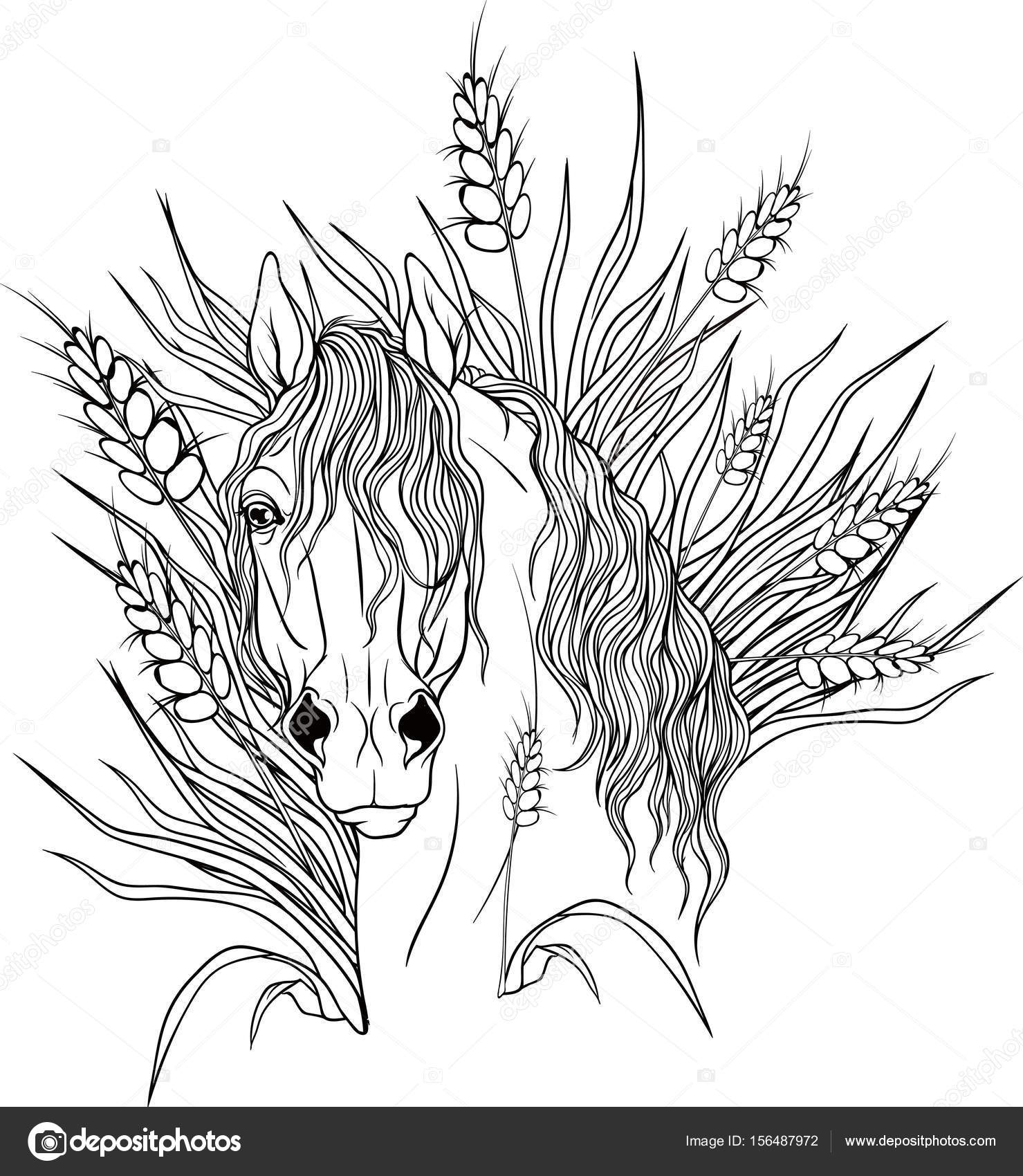 1479x1700 Coloring Page With A Portrait Of A Horse. Stock Vector