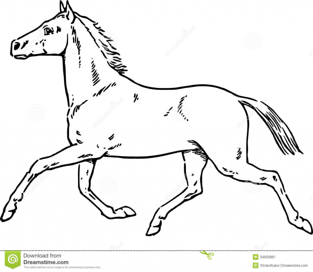 1024x890 Horse Picture Drawing Best Photos Of Horse Profile Drawing Horse