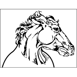300x300 Horse Profile Coloring Page