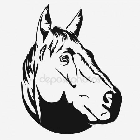 450x450 Horse Profile Graphic Logo Template Stock Vector Samorodinov