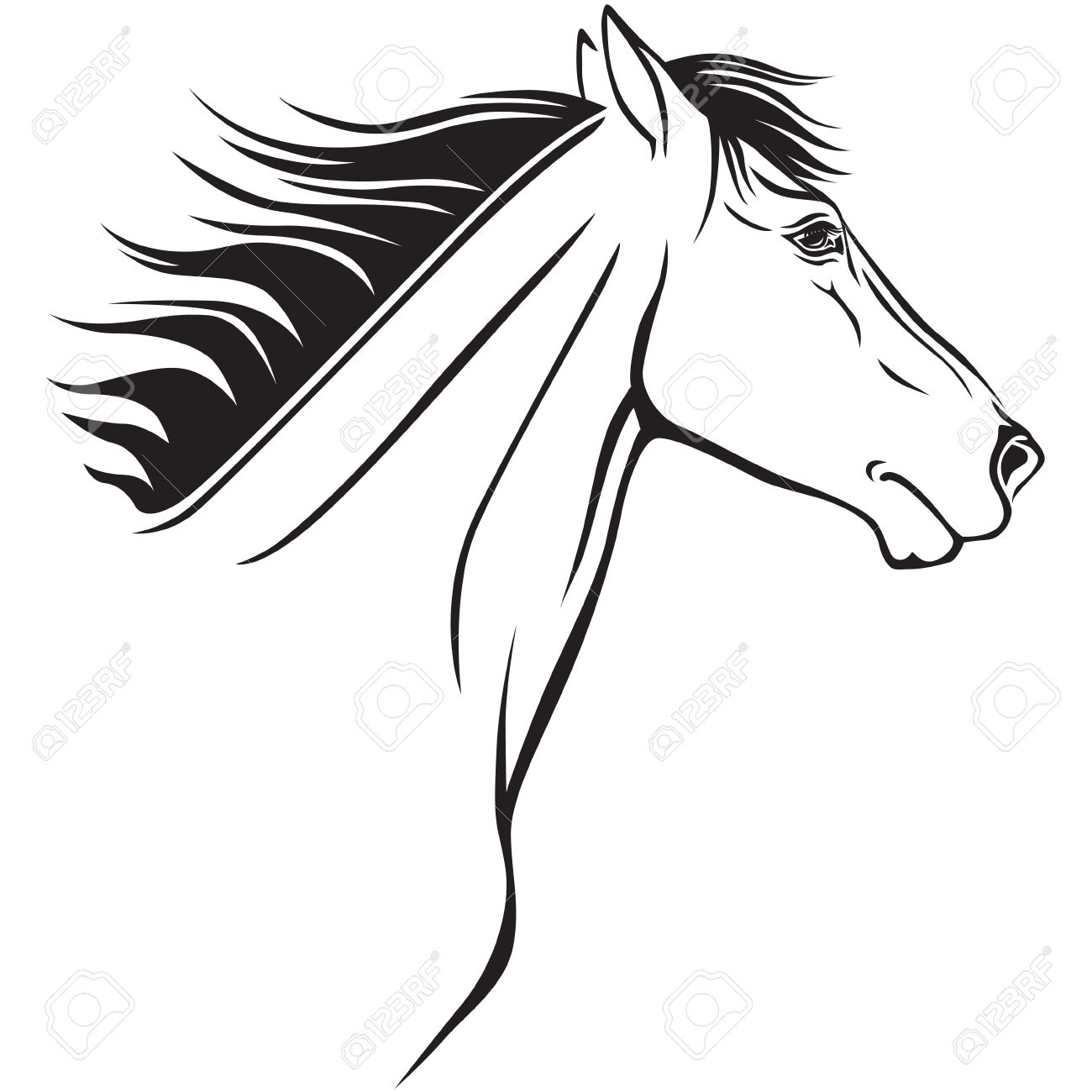 1300x1300 Contour Image Of A Beautiful Horses Profile Royalty Free Cliparts