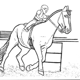 268x268 Coloring Pages Horse Racing Archives