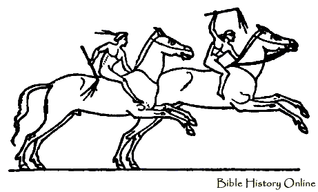 461x278 Horse Racing