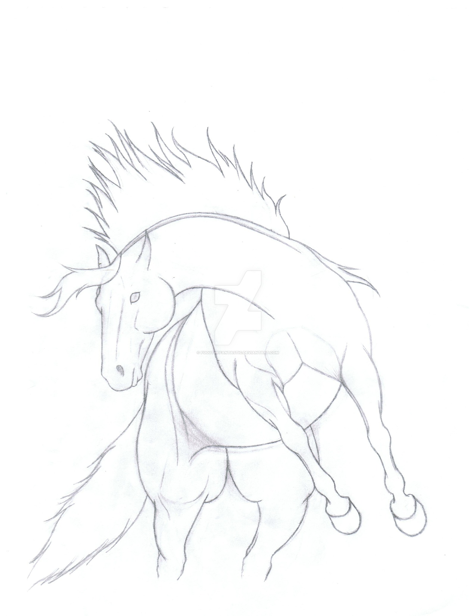 1600x2071 Horse Rearing Doodle By Fuguthefantastic