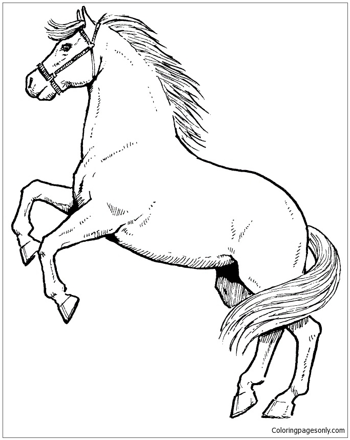 683x859 Rearing Horse Coloring Page