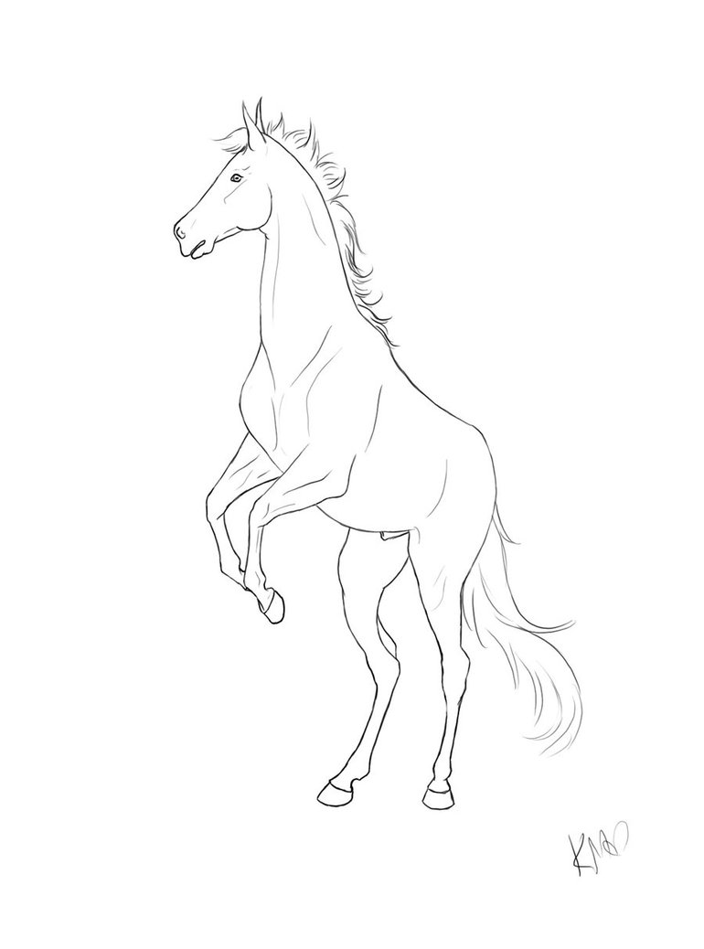 770x1038 Rearing Horse Lines By Iemkt