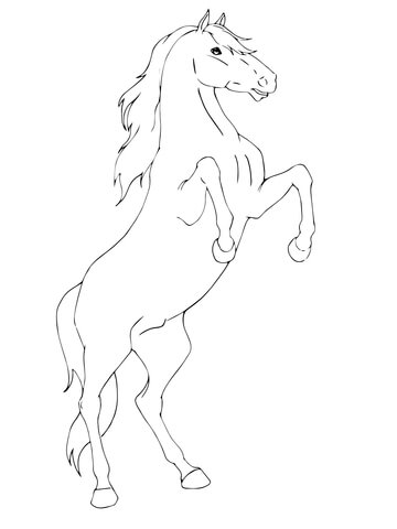 360x480 Rearing Horse Coloring Page Free Printable Coloring Pages