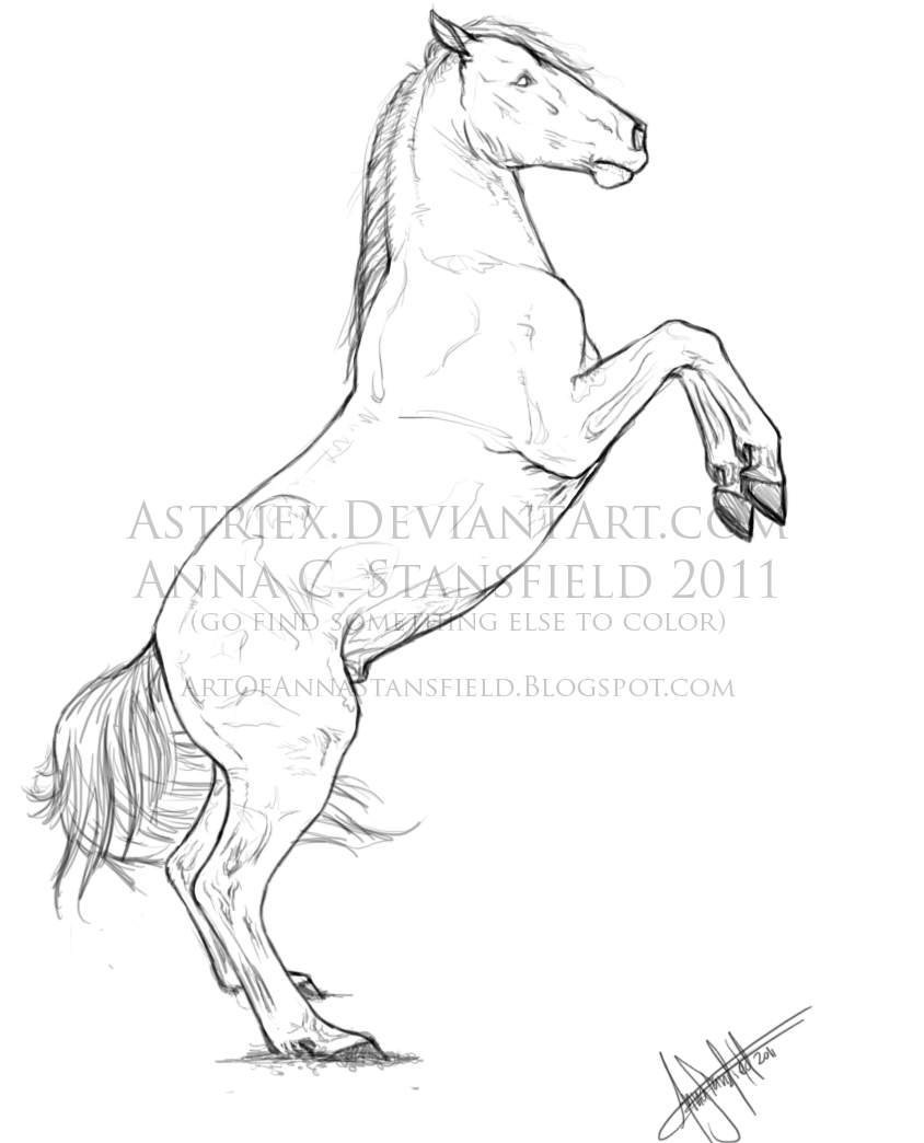 844x1044 The Art Of Anna Stansfield Rearing Geldling Sketch