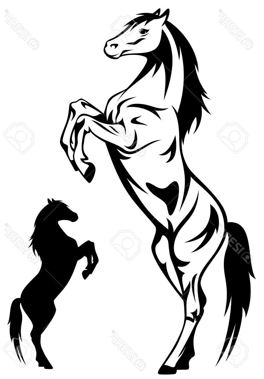 Horse Rearing Up Drawing at GetDrawings | Free download