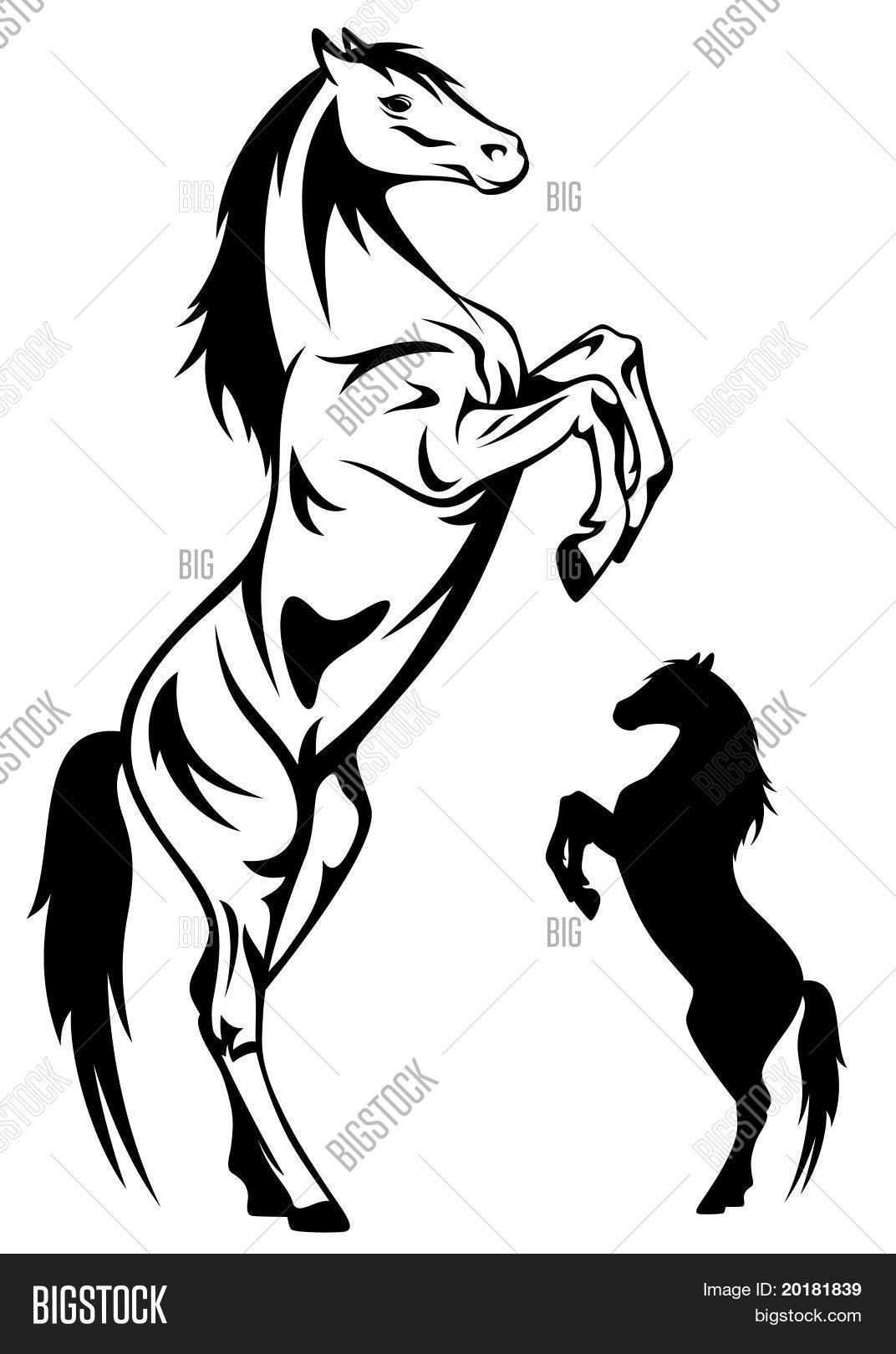 1072x1620 Horse Rearing Vector Amp Photo Bigstock