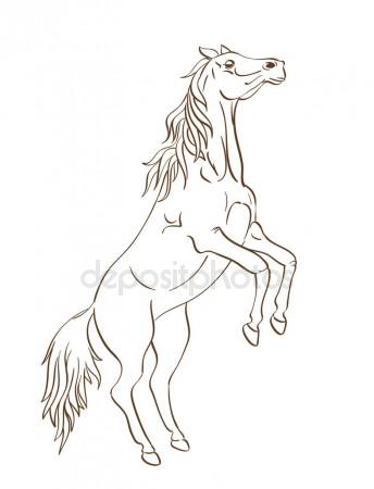 344x450 Horse Drawing. Vector Illustration Stock Vector Ghenadie