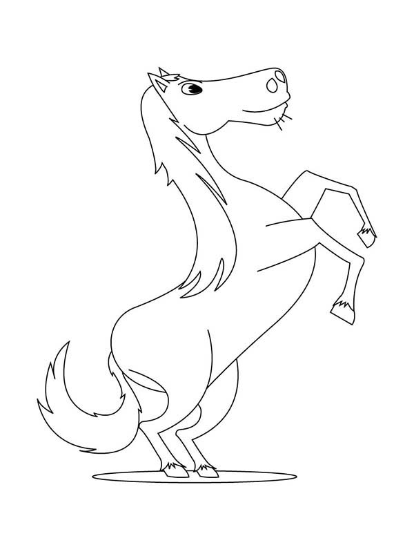 600x776 Cute Rearing Horse In Horses Coloring Page