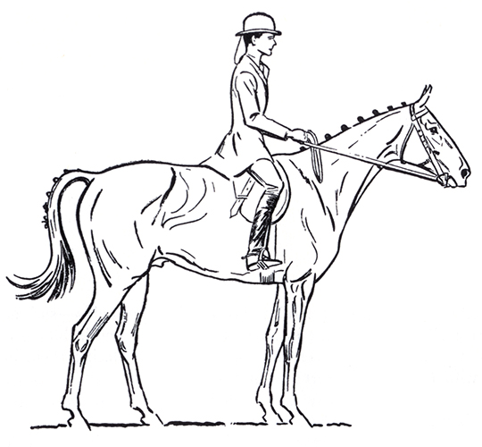 Horse Rider Drawing at GetDrawings | Free download