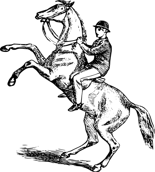 540x599 Man Riding A Rearing Horse Clip Art