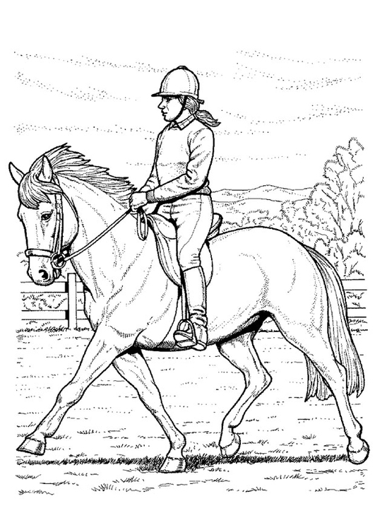 531x750 Coloring Page Horse Back Riding