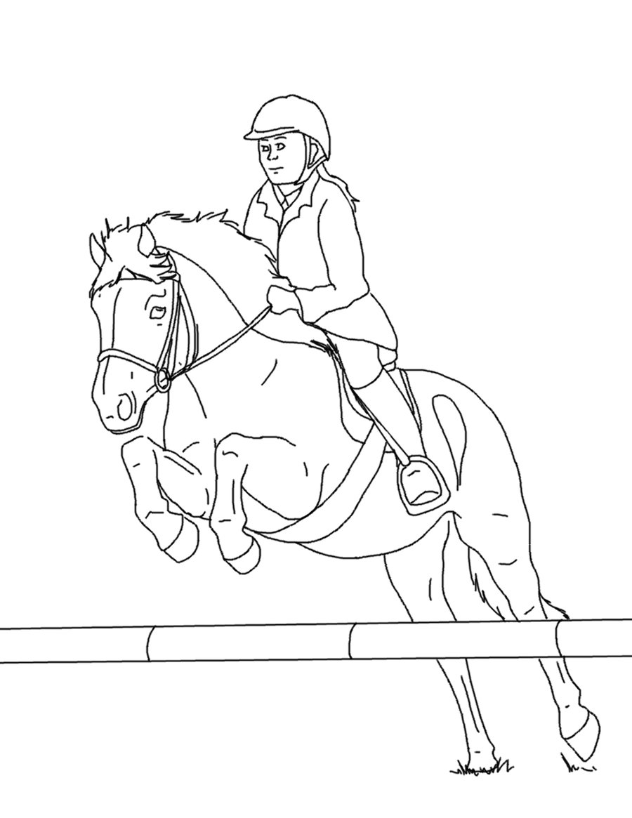 900x1165 Horseback Riding Drawings