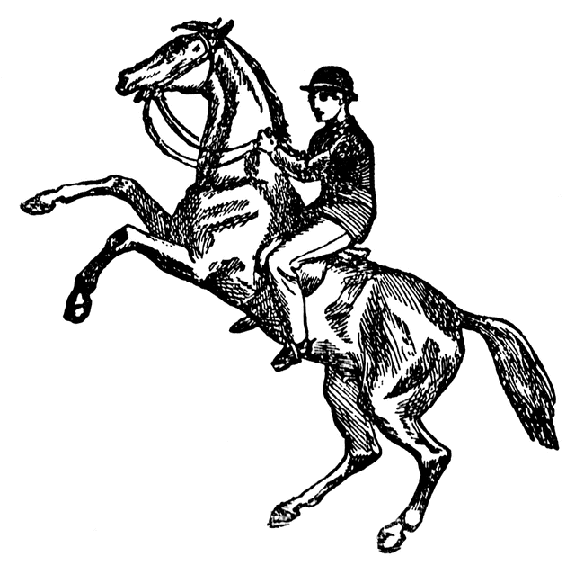 640x628 Horseriding Clipart Etc