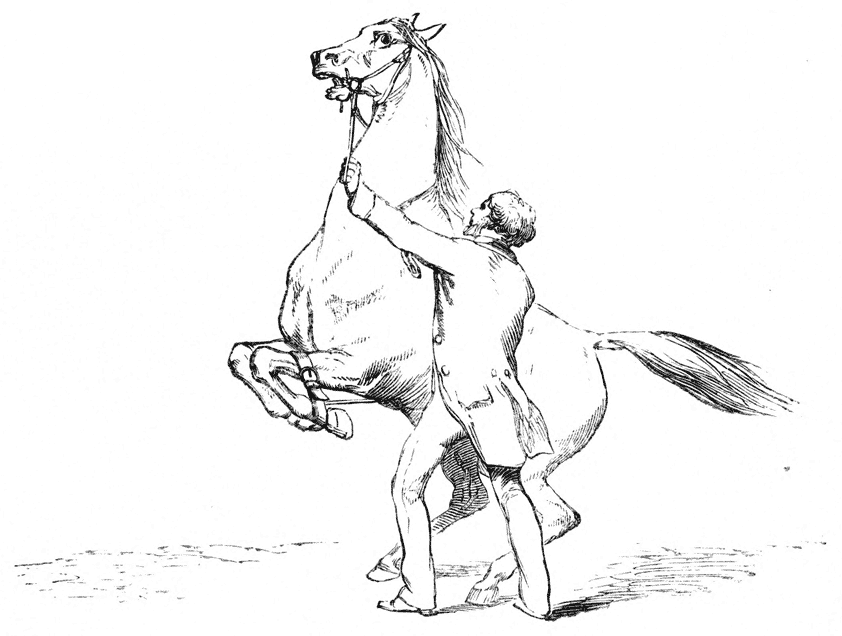 842x636 Rearing Horse With Rider Drawing