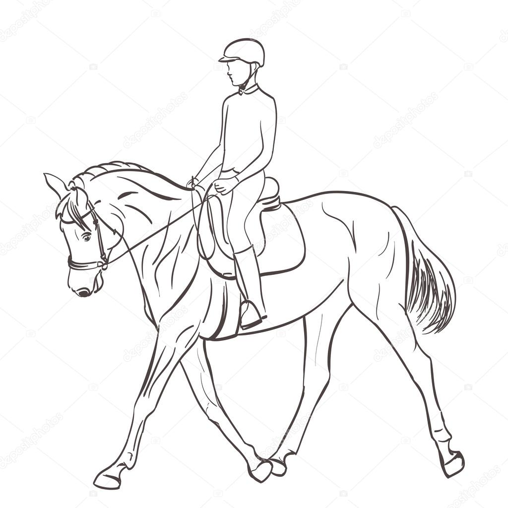 1024x1024 Horse Rider Sketch. Equestrian Theme Vector Illustration Stock
