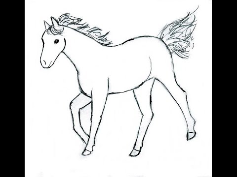 480x360 Horse Drawing For Kids Horse Training Coloring Pages Horse Riding
