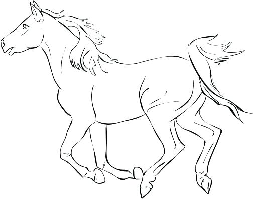 504x397 Good Coloring Pages Of Horses Running Image Color Jumping Sheets