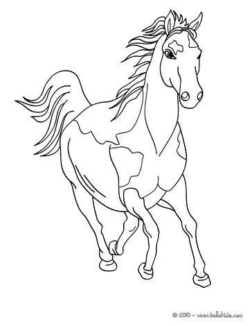 364x470 Realistic Horse Coloring Pages Horse Horse Online Coloring
