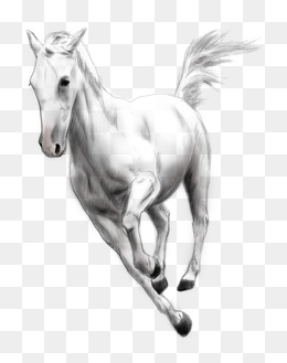 260x329 Running Horse Png Images Vectors And Psd Files Free Download