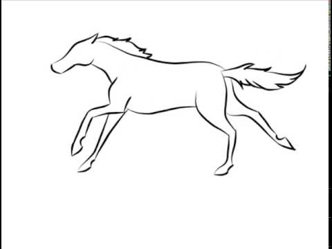 Horse Running Drawing at GetDrawings | Free download