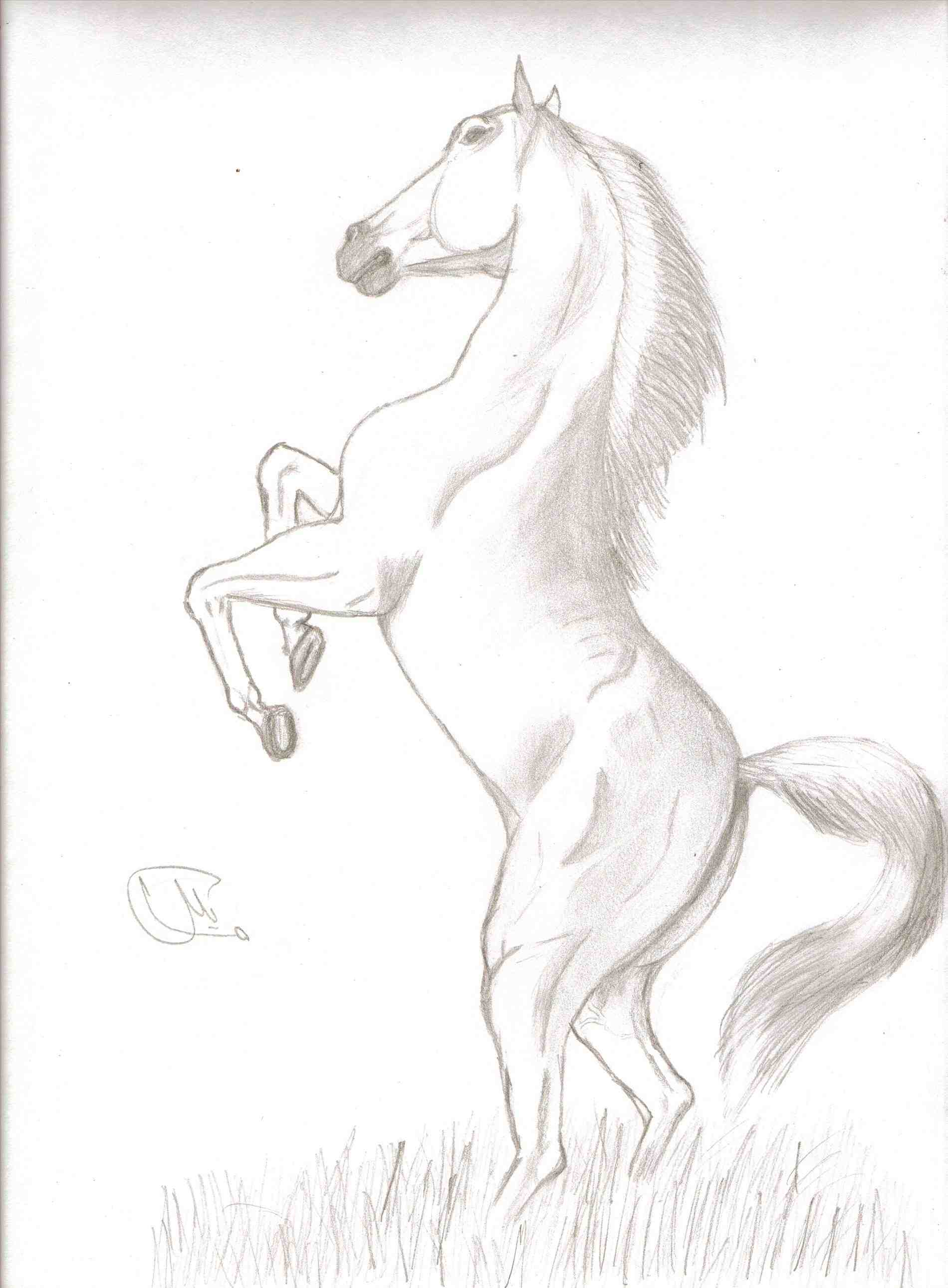 1900x2582 How To Draw A Horse Running Towards You