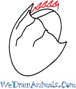 300x350 How To Draw A Horseshoe Crab