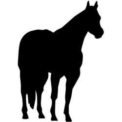 250x250 Horse Silhouette Decal Design
