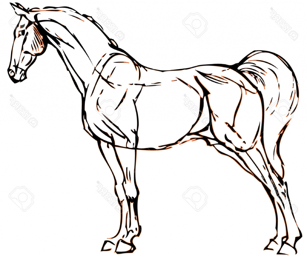 1024x853 Simple Drawing Of A Horse